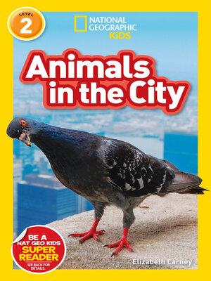 cover image of Animals in the City (National Geographic Kids Readers, Level 2)